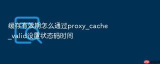 缓存有效期怎么通过proxy_cache_valid设置状态码时间