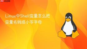 linux中shell变量怎么把变量名转成小写字母