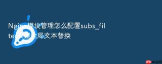 Nginx模块管理怎么配置subs_filter实现全局文本替换