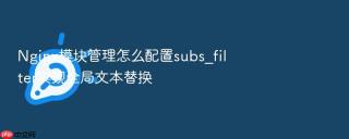 nginx模块管理怎么配置subs_filter实现全局文本替换