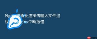 Nginx排查长连接传输大文件过程中被Nginx中断报错