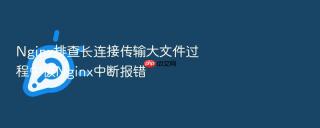 nginx排查长连接传输大文件过程中被nginx中断报错
