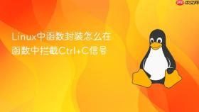 Linux中函数封装怎么在函数中拦截Ctrl+C信号