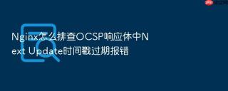 Nginx怎么排查OCSP响应体中Next Update时间戳过期报错