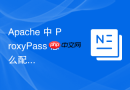 Apache 中 ProxyPass 怎么配置将静态资源直接本地响应不转发后端