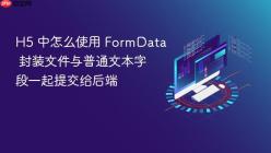 H5 中怎么使用 FormData 封装文件与普通文本字段一起提交给后端
