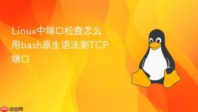 Linux中端口检查怎么用bash原生语法测TCP端口