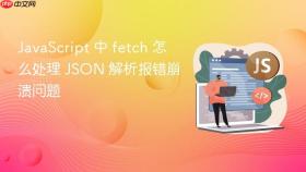 javascript 中 fetch 怎么处理 json 解析报错崩溃问题