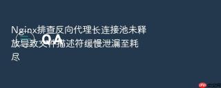 Nginx排查反向代理长连接池未释放导致文件描述符缓慢泄漏至耗尽
