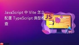 JavaScript 中 Vite 怎么配置 TypeScript 类型检查