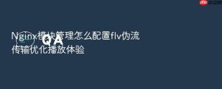 nginx模块管理怎么配置flv伪流传输优化播放体验