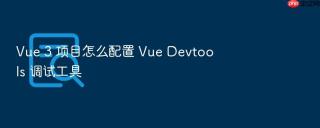 Vue 3 项目怎么配置 Vue Devtools 调试工具