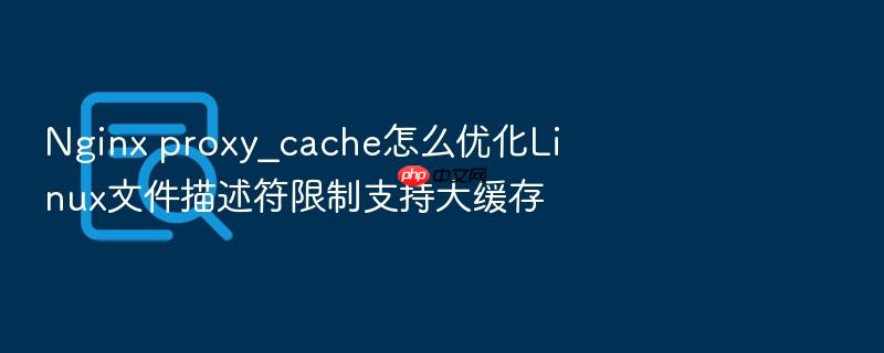 nginx proxy_cache怎么优化linux文件描述符限制支持大缓存