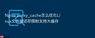 Nginx proxy_cache怎么优化Linux文件描述符限制支持大缓存