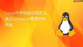 Linux中开机启动项怎么通过systemctl管理开机自启