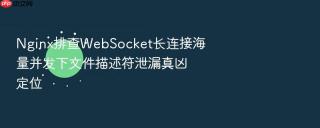 nginx排查websocket长连接海量并发下文件描述符泄漏真凶定位