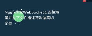 Nginx排查WebSocket长连接海量并发下文件描述符泄漏真凶定位