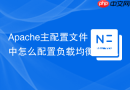 Apache主配置文件中怎么配置负载均衡集群（ProxyPass /balancer-manager/）