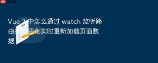 Vue 3 中怎么通过 watch 监听路由参数变化实时重新加载页面数据