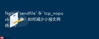 nginx `sendfile`与`tcp_nopush`组合拳：如何减少小报文网络分片