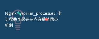 Nginx `worker_processes`多进程共享缓存与内存数据同步机制