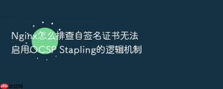 nginx怎么排查自签名证书无法启用ocsp stapling的逻辑机制