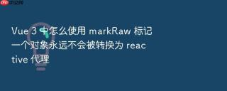 vue 3 中怎么使用 markraw 标记一个对象永远不会被转换为 reactive 代理