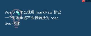 Vue 3 中怎么使用 markRaw 标记一个对象永远不会被转换为 reactive 代理