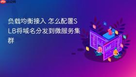 负载均衡接入 怎么配置SLB将域名分发到微服务集群