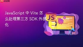 javascript 中 vite 怎么处理第三方 sdk 外部化