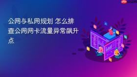 公网与私网规划 怎么排查公网网卡流量异常飙升点