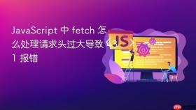 JavaScript 中 fetch 怎么处理请求头过大导致 431 报错