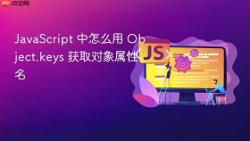 javascript 中怎么用 object.keys 获取对象属性名