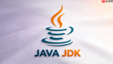 Spring Boot 怎么处理 Hibernate Validator 校验异常在全局处理器中的精细化拆解