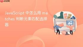 JavaScript 中怎么用 matches 判断元素匹配选择器