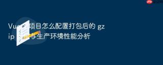 Vue 3 项目怎么配置打包后的 gzip 压缩与生产环境性能分析