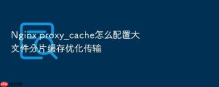 Nginx proxy_cache怎么配置大文件分片缓存优化传输