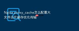 nginx proxy_cache怎么配置大文件分片缓存优化传输
