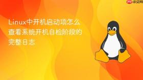 Linux中开机启动项怎么查看系统开机自检阶段的完整日志