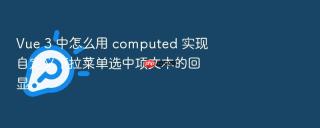 vue 3 中怎么用 computed 实现自定义下拉菜单选中项文本的回显
