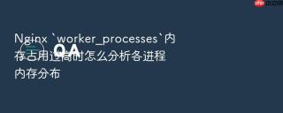 nginx `worker_processes`内存占用过高时怎么分析各进程内存分布