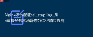Nginx怎么配置ssl_stapling_file直接加载本地静态OCSP响应答复