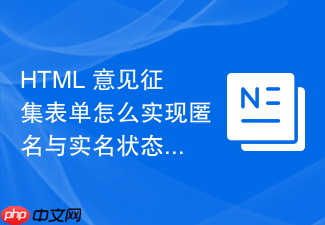html 意见征集表单怎么实现匿名与实名状态切换