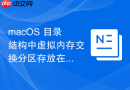 macos 目录结构中虚拟内存交换分区存放在哪个系统路径