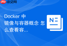 Docker 中 镜像与容器概念 怎么查看容器占用的磁盘大小