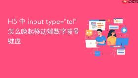 h5 中 input type=