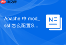 Apache 中 mod_ssl 怎么配置SSLSessionCache