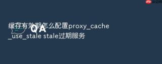缓存有效期怎么配置proxy_cache_use_stale stale过期服务