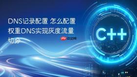 DNS记录配置 怎么配置权重DNS实现灰度流量切分