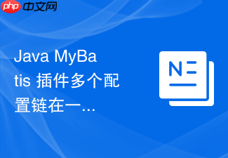 java mybatis 插件多个配置链在一起时的执行顺序和加载逻辑怎么处理